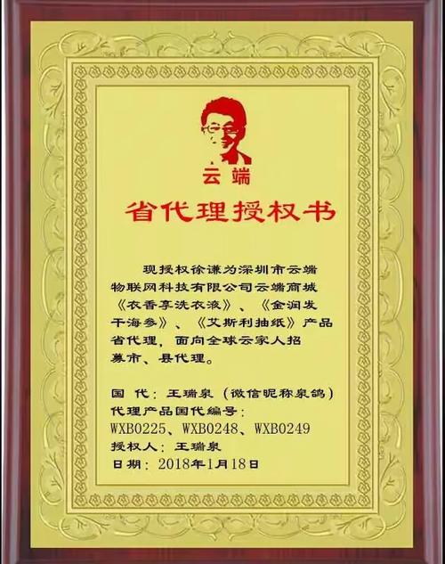 云端商城省代理授權(quán)與商品信息咨詢服務(wù)深度解析